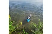 Hundar - Nobby Blæksprutte Floating - L62516