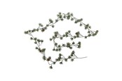 Decoration - Bloomingville Cedar - 82072373