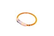 Hundar - Nobby LED halsbånd VISIBLE S - 35 cm - L78263