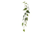 Decoration - Bloomingville Anthurium - 82061498
