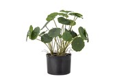 Decoration - Bloomingville Copper - 82061504