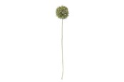 Decoration - Bloomingville Allium - 82061466