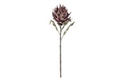 Decoration - Bloomingville Protea - 82061467