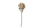 Decoration - Bloomingville Protea - 82061468