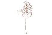 Decoration - Bloomingville Eucalyptus - 82061470