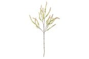 Decoration - Bloomingville Foxtail - 82061472