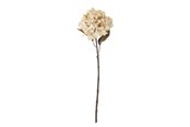 Decoration - Bloomingville Hydrangea - 82061476