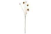 Decoration - Bloomingville Poppy - 82061478