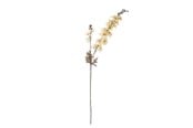 Decoration - Bloomingville Larkspur - 82061480