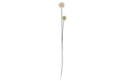 Decoration - Bloomingville Phlox - 82061506