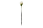 Decoration - Bloomingville Lily - 82061508
