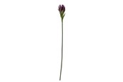 Decoration - Bloomingville Lily - 82061512