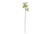 Decoration - Bloomingville Fennel - 82061513