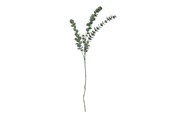 Decoration - Bloomingville Eucalyptus - 82061514