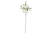 Decoration - Bloomingville Eucalyptus - 82061520
