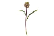 Decoration - Bloomingville Protea - 82061523
