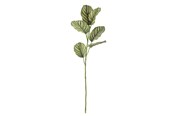 Decoration - Bloomingville Zebra - 82061526