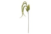 Decoration - Bloomingville Foxtail - 82061539