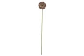 Decoration - Bloomingville Allium - 82072036