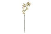 Decoration - Bloomingville Waxflower - 82072037