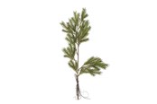 Decoration - Bloomingville Pine - 82072352