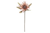 Decoration - Bloomingville Protea - 82072832