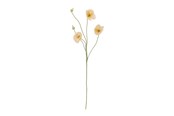 Decoration - Bloomingville Poppy - 82072833