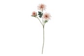 Decoration - Bloomingville Chrysantemum - 82072834