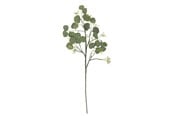 Decoration - Bloomingville Eucalyptus - 82072835