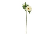 Decoration - Bloomingville Peony - 82072839