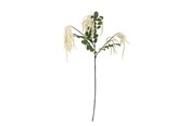 Decoration - Bloomingville Reed - 82072841