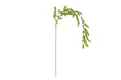 Decoration - Bloomingville Reed - 82072842