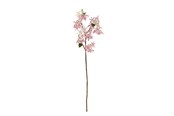 Decoration - Bloomingville Chrysantemum - 82072846