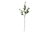 Decoration - Bloomingville Eucalyptus - 82072850