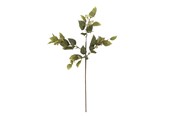 Decoration - Bloomingville Eucalyptus - 82072851