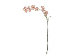 Decoration - Bloomingville Wild Cherry - 82072852