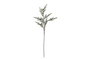 Decoration - Bloomingville Pine - 82072349