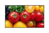 Digital skyltning & Hotell - Neovo AG QM5503 QM Series - 55" Class (54.6" viewable) LED-backlit LCD display - 4K - for digital signage - QM5530011M0000