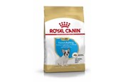 Hundar - Royal Canin French Bulldog Puppy - 3182550777674