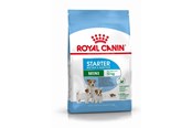 Hundar - Royal CANINE STARTER Mini 4 kg - 3182550932707
