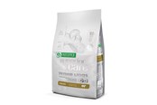 Hundar - Nature's Protection Superior Care White Dogs Grain Free Adult Small Lamb - dry dog food - 4 kg - 4771317458339