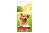 Hundar - PURINA NESTLE Friskies Active - dry dog food - 10 kg - 7613031395484