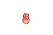 Parfym och dofter - Bvlgari Omnia Coral Eau de toilette - 100 ml - 783320425493