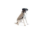 Hundar - Chill Kuzzi Beroligende Hoodie 45 cm grå - 380433