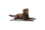 Hundar - KRUUSE Vet Bed, halkskydd, grå, 75 x 50 cm - 381614