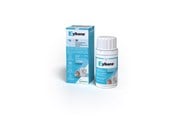 Hundar - Zylkene Zylkène 0-10kg 75 mg 30 stk. - 274894