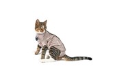 Katter - KRUUSE BUSTER Body Suit Step'n Go til Kat XXS - 273947