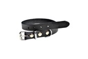 Hundar - Timely PRAG Halsband Svart 20 mm. / 55 cm. - 5907784897114