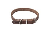 Hundar - Timely PRAG Halsband Mörkbrun 16 mm. / 45 cm. - 5907784896995