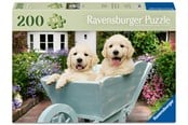 Pusselspel - Ravensburger Golden Retriever 200p Ad - 12001368